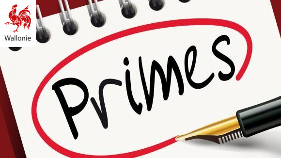 MAJ: prolongation du délai d'introduction des demandes au 20/03: La plate-forme wallonne pour les demandes d'aide des entreprises accessible dès le 06 février